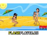 �������� flash ���� ��������