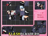 �������� flash ���� ��� ��������