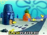 �������� flash ���� ����� ���