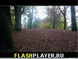 Играть во flash игру Absentia Игра Отсутствие онлайн