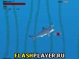 Играть во flash игру Shark Bait Игра Акулий укус онлайн