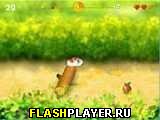 Играть во flash игру Running Hamster Игра Бегущий хомячок онлайн