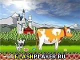 Игра Котозамок 4 онлайн