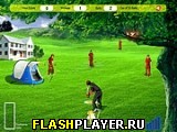 Игра Фантастический крикет онлайн