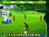 Играть во flash игру Fantacy Cricket Игра Фантастический крикет онлайн