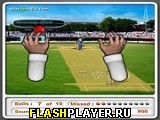 Играть во flash игру PlayUp Field Игра Крикет онлайн