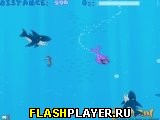 Игра Тюлени против акул онлайн