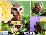 Играть во flash игру Funny Puzzle with Animal Игра Забавный пазл с животными онлайн