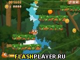 Игра Прыгающий Енот онлайн