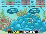 Играть во flash игру Fish Race Championship Игра Рыбьи гонки онлайн