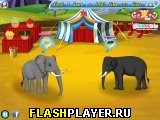 Игра Цирковые слоны онлайн