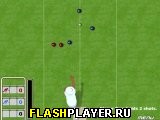 Игра Боулинг на траве онлайн