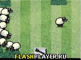 Игра Сонные овечки онлайн
