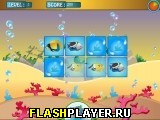 Играть во flash игру Fish Freedom Игра Свобода рыбам онлайн