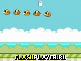 Играть во flash игру Grumpy Beaks Игра Надоедливые клювы онлайн