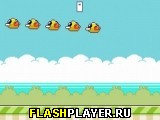 Игра Надоедливые клювы онлайн