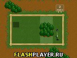 Игра Лесные соревнования онлайн