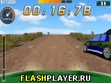 Игра Международное ралли 2014 онлайн