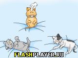 Игра Щекотание кошек онлайн