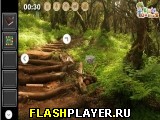 Игра Побег из лесного дома онлайн