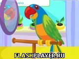 Игра Забота о попугае онлайн