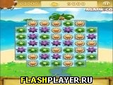 Играть во flash игру Kango Islands Игра Острова кенгуру онлайн
