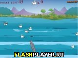 Играть во flash игру Feed the Crock Игра Накормите крокодила онлайн