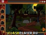 Играть во flash игру Rescue Ape From The Hunter Игра Спасите обезьяну от охотника онлайн
