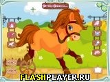 Играть во flash игру Cute Horse Dressup Игра Милая лошадь онлайн
