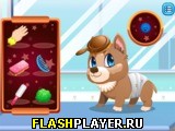 Играть во flash игру Stray Dog Care Игра Забота о бродячей собаке онлайн