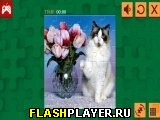 Игра Забавные кошки онлайн