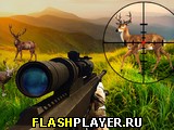 Игра Охотник на диких животных онлайн