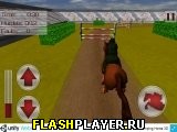 Играть во flash игру Jumping Horse 3D Игра Конкур 3Д онлайн