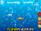 Играть во flash игру Big Shark Игра Большая акула онлайн