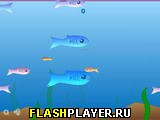 Игра Рыбка онлайн