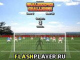 Игра Соревнование вратарей онлайн