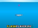Игра Акула онлайн