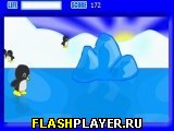 Пингвиний скейтинг